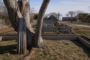 An interview with the artist Helmut Lang | Upstate Diary — Upstate Diary