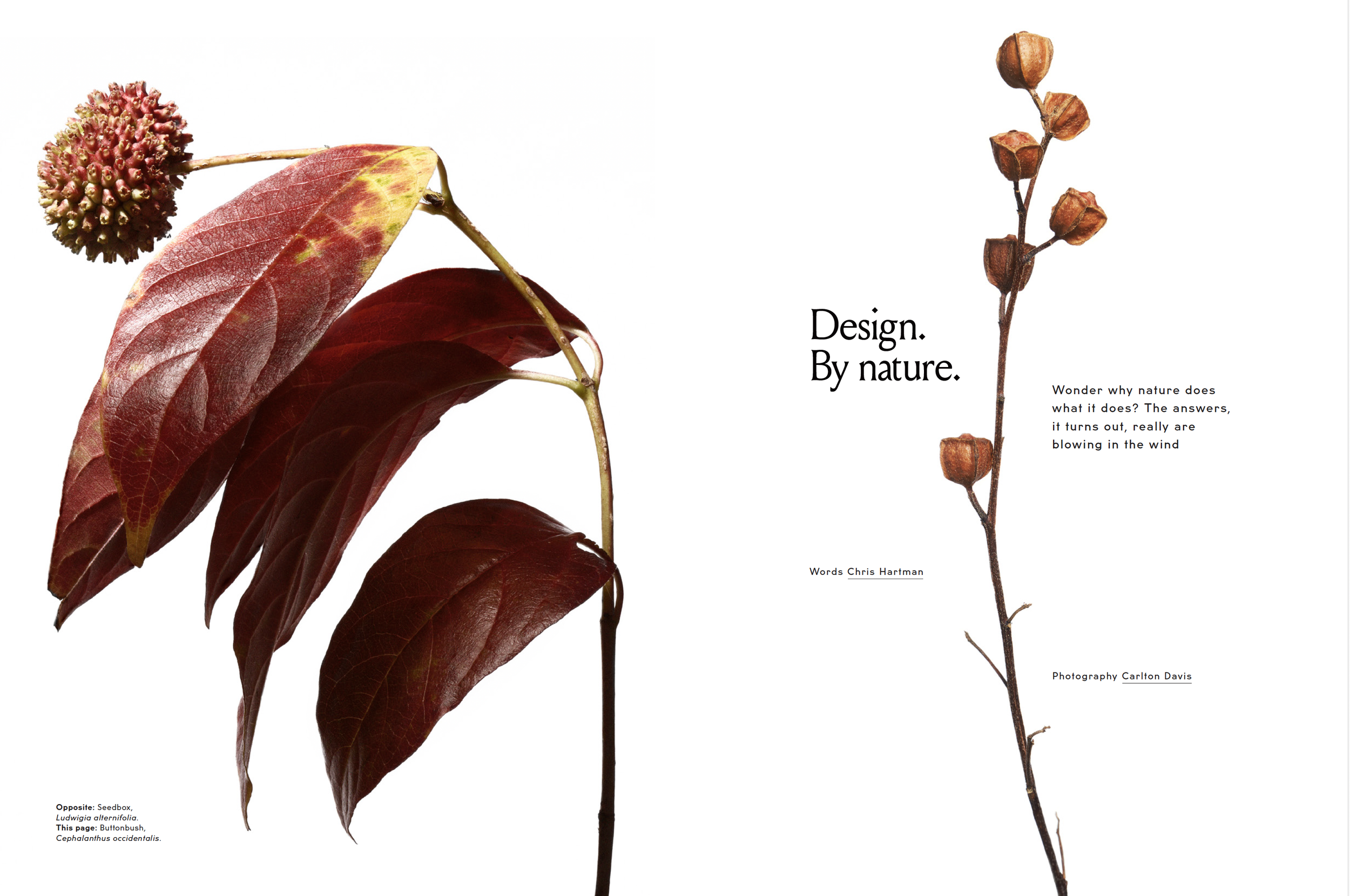 Screenshot 2025-04-04 at 2.43.51 PM.png