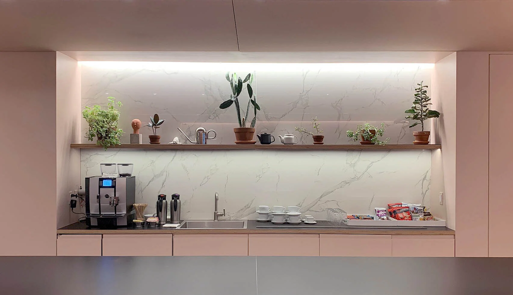 brooklyn_plant_studio_plant_main.jpg