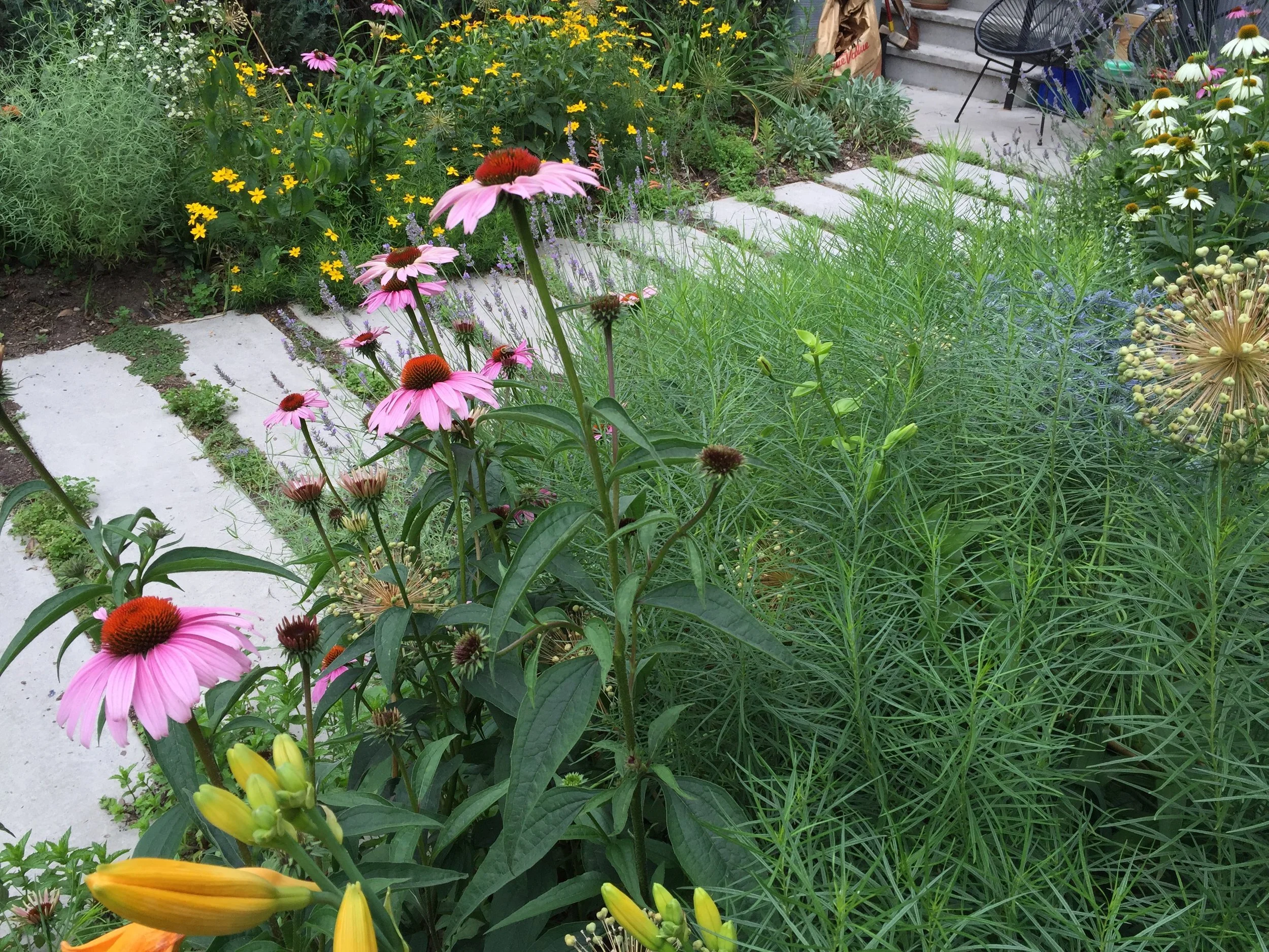 brooklyn_plant_studio_garden_13.jpg