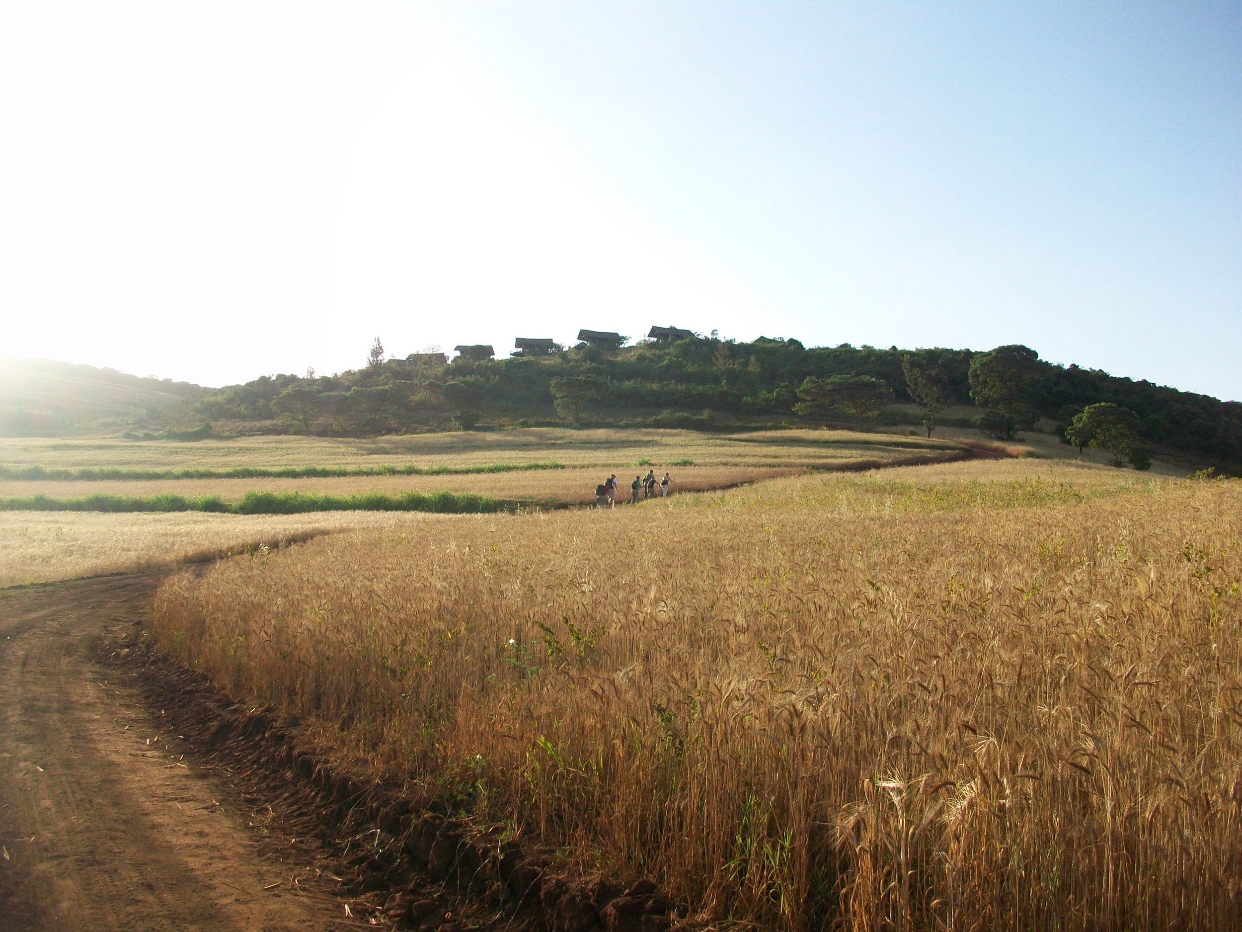 Kilimanjaro Aug 2009 119.JPG
