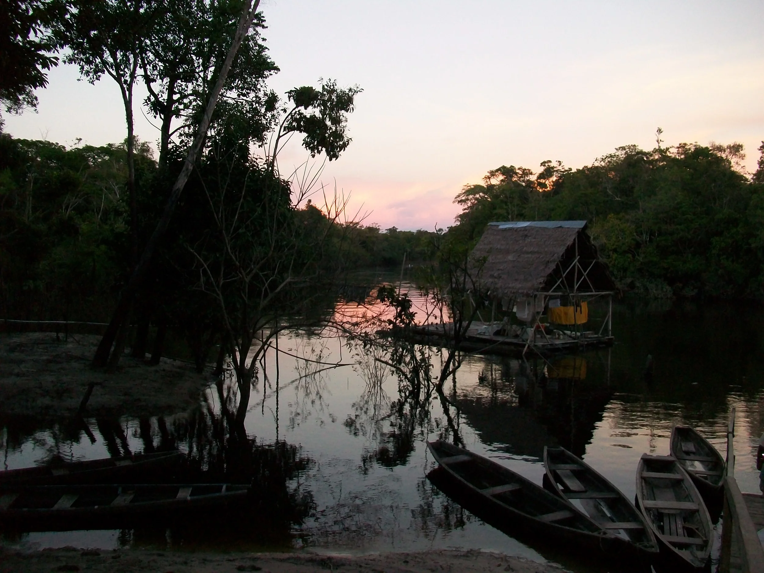 Amazon Prouty 017.JPG