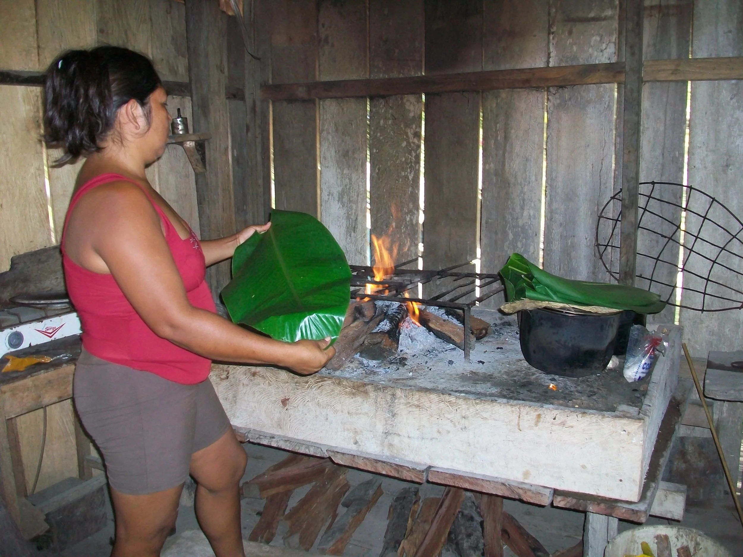 Amazon Prouty 501.JPG