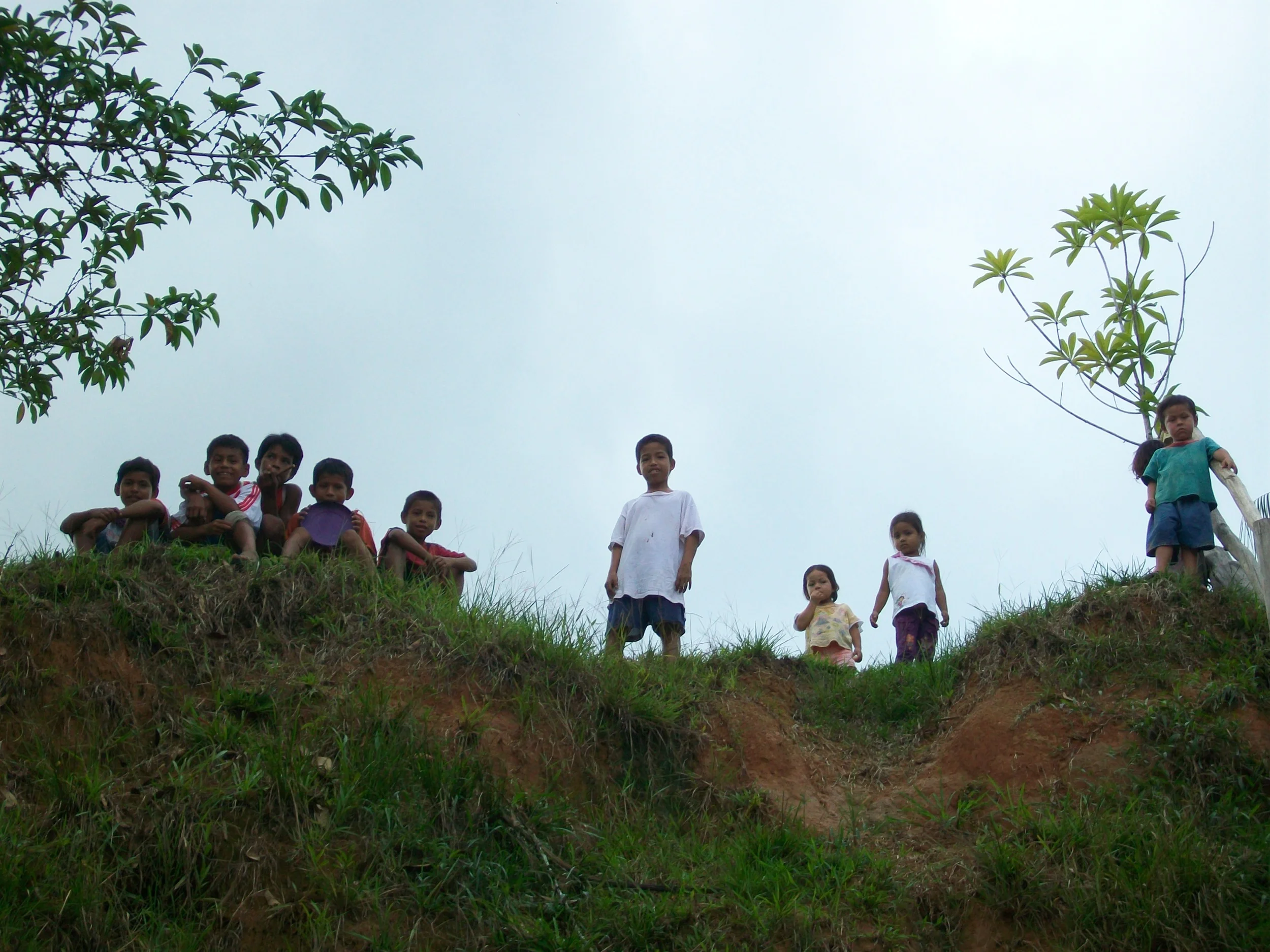 Amazon Prouty 754.JPG