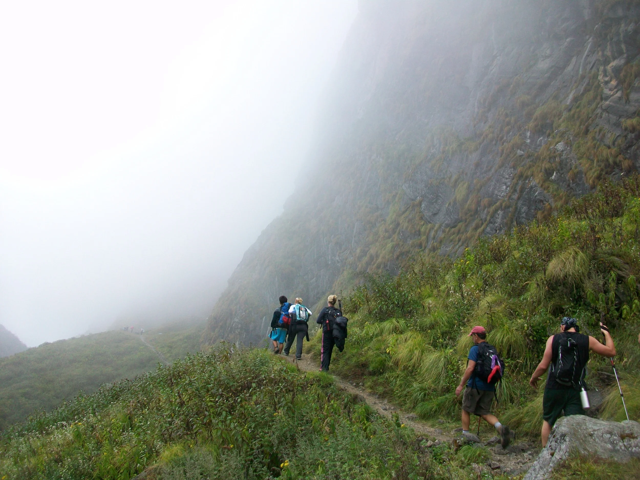 Foggy hiking.JPG