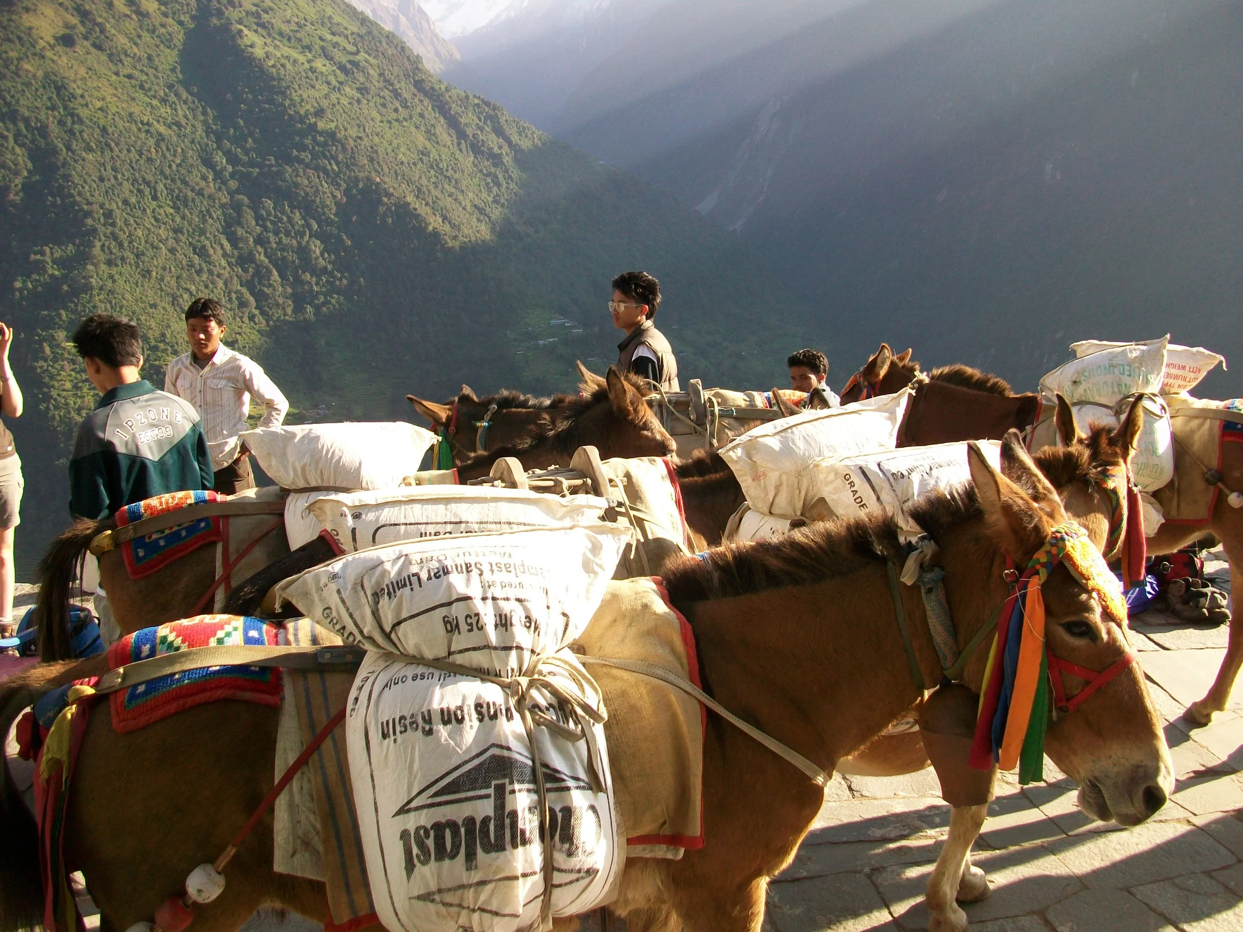 Nepal 2010 - Jodi 456.JPG