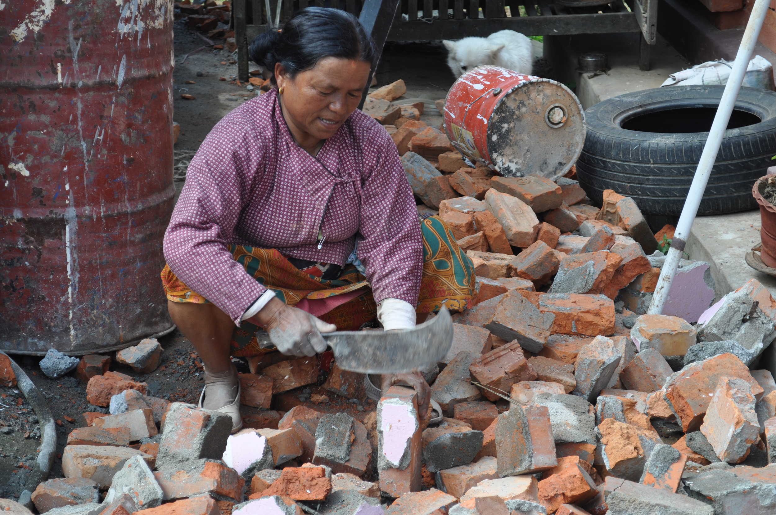 Nepal 2010 - RC 097.JPG