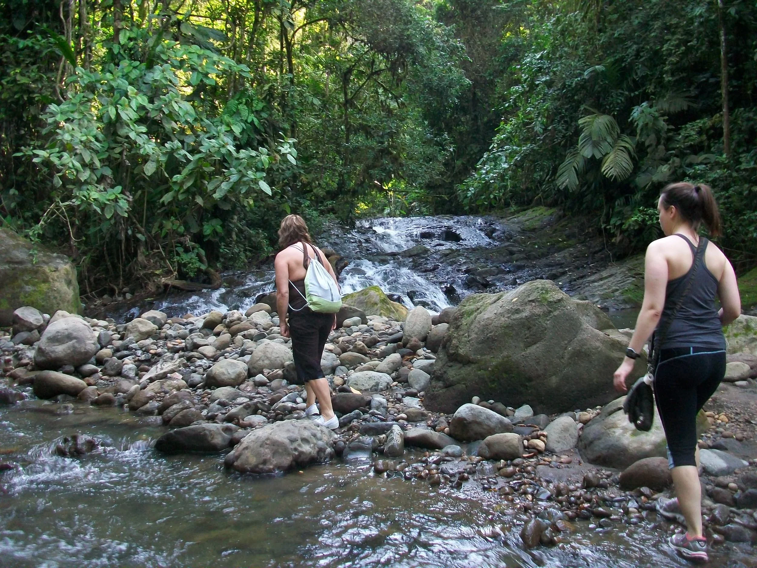 Costa Rica 2011 089.JPG