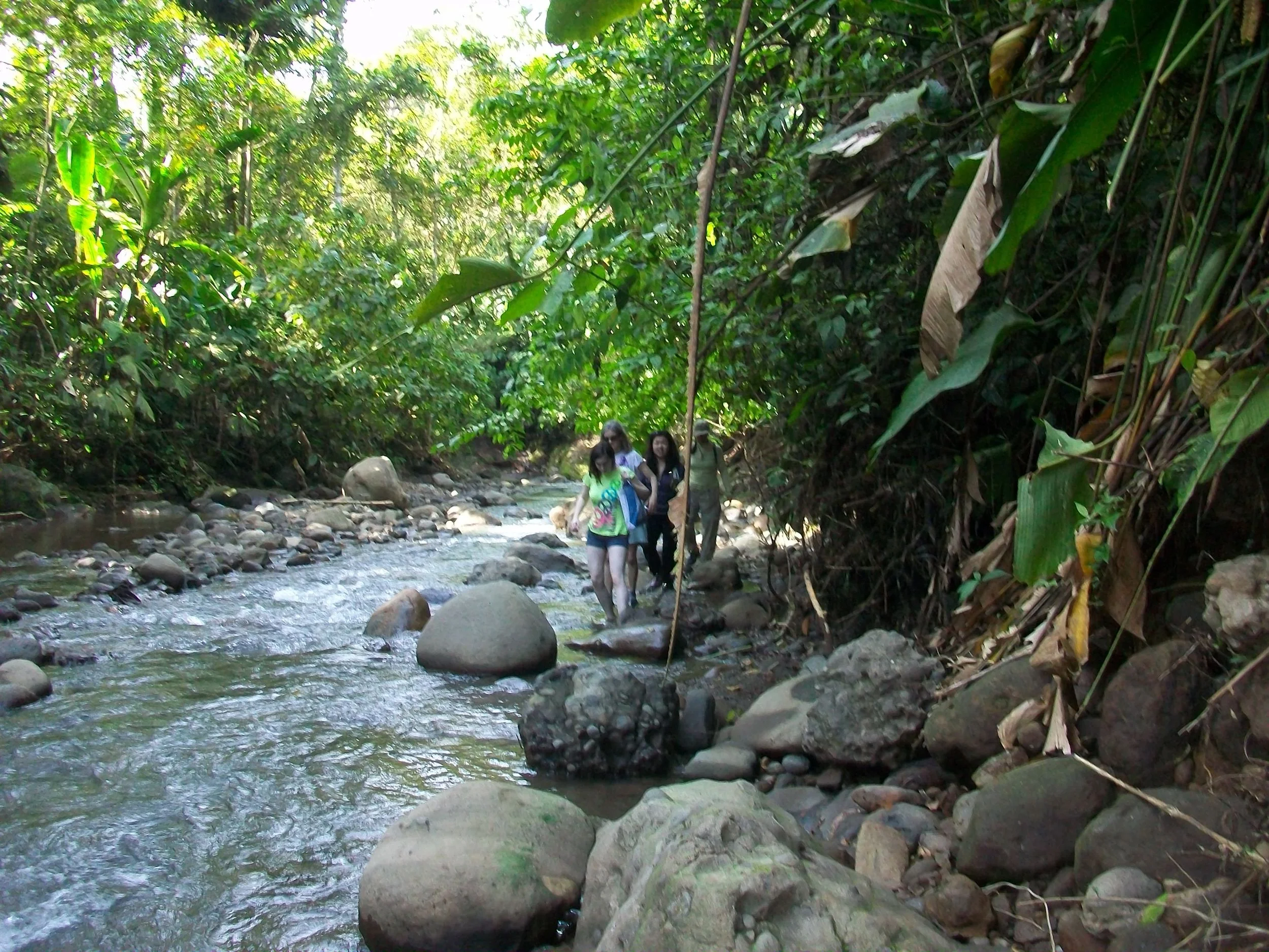 Costa Rica 2011 090.JPG