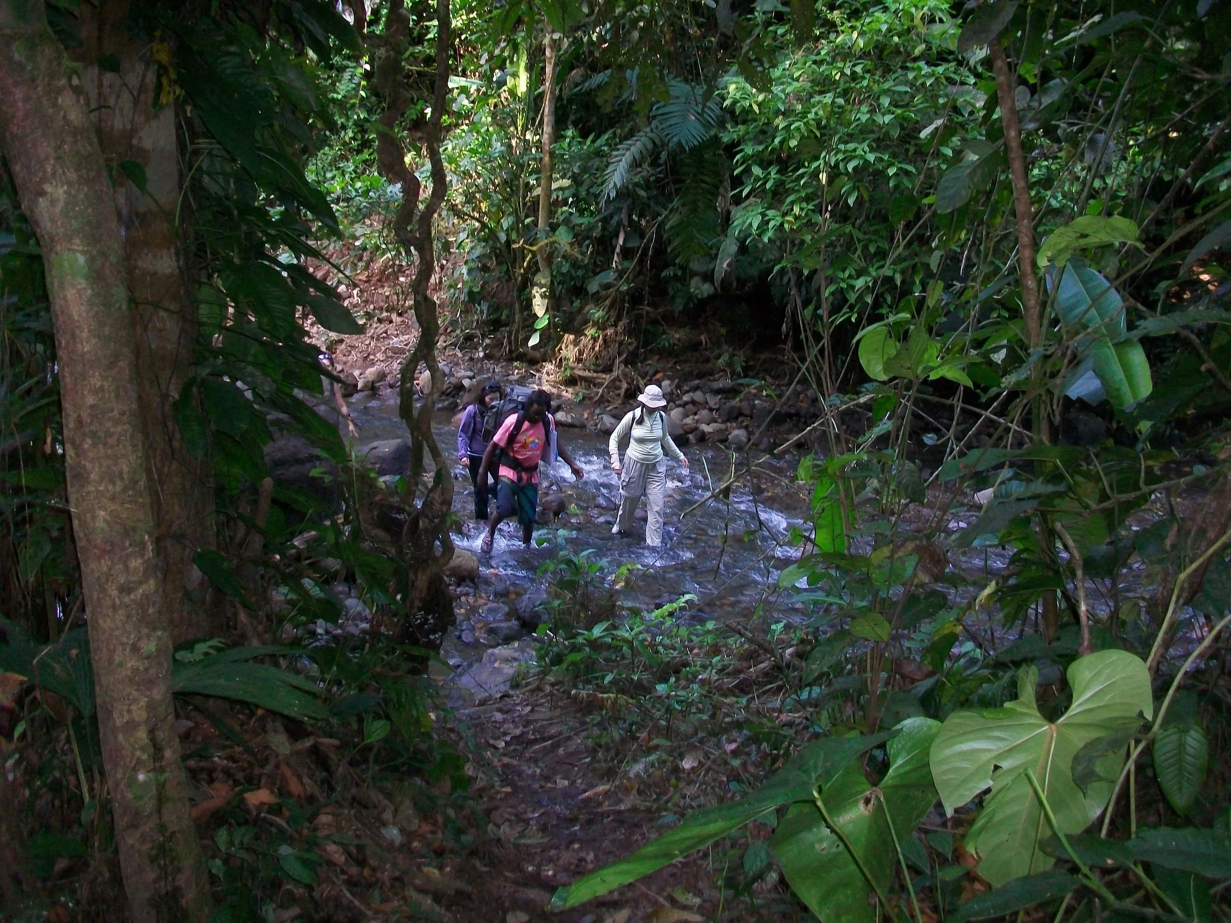 Costa Rica 2011 091.JPG