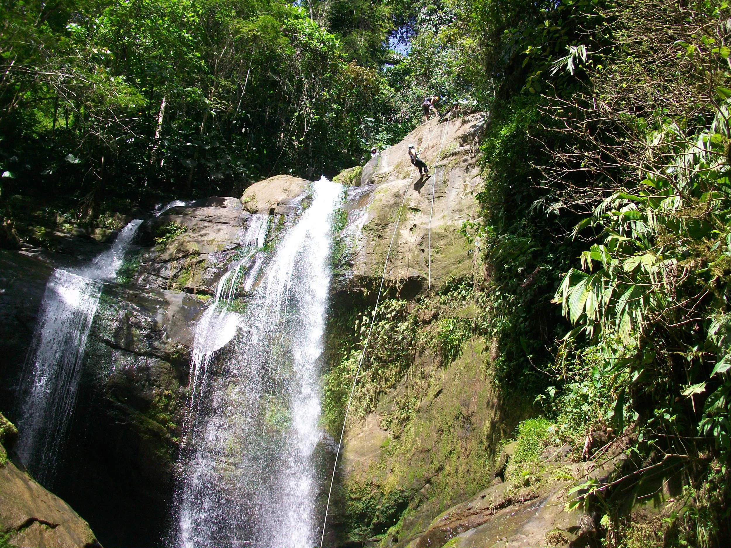 Costa Rica 2011 158.JPG