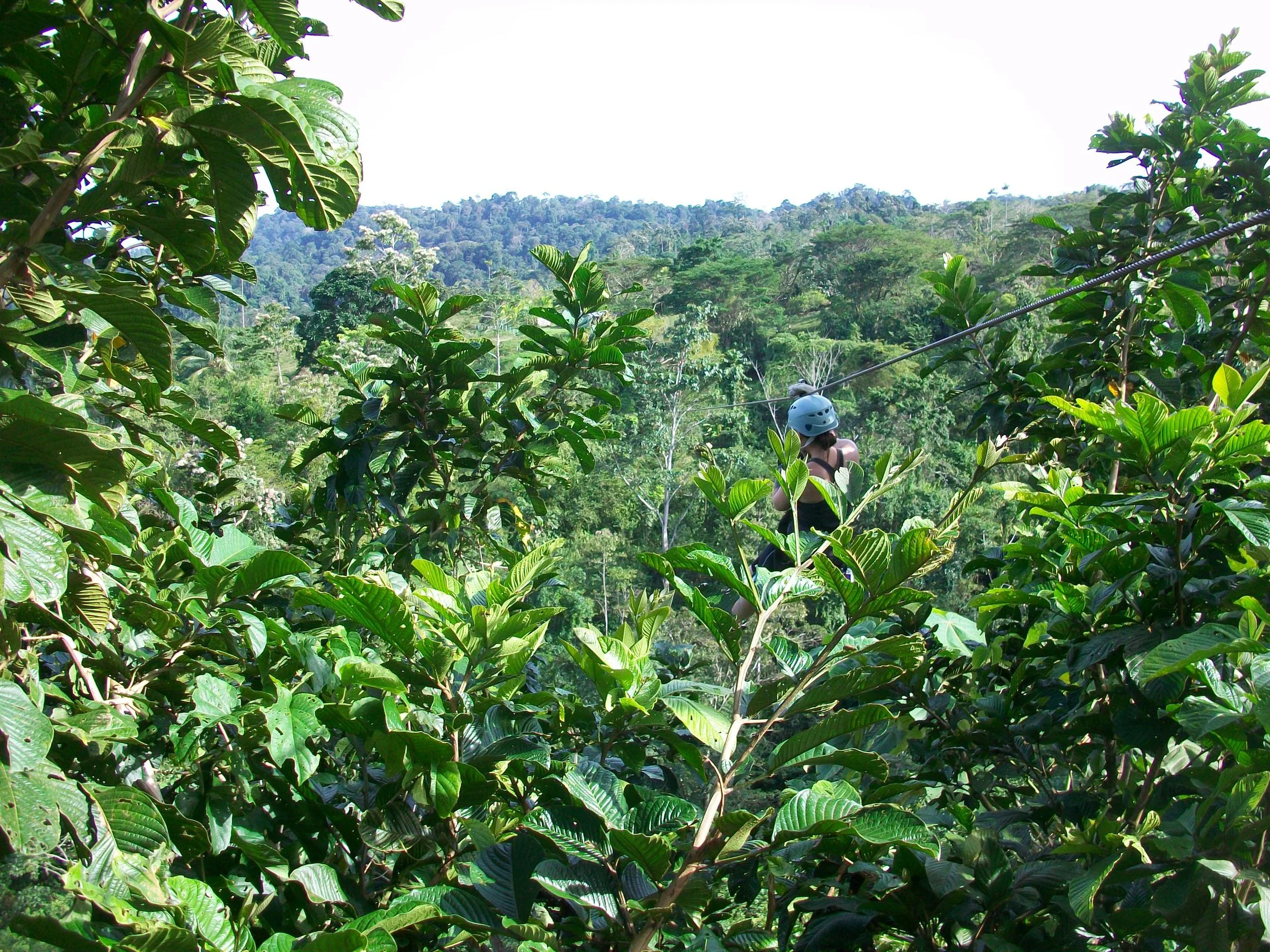 Costa Rica 2011 228.JPG