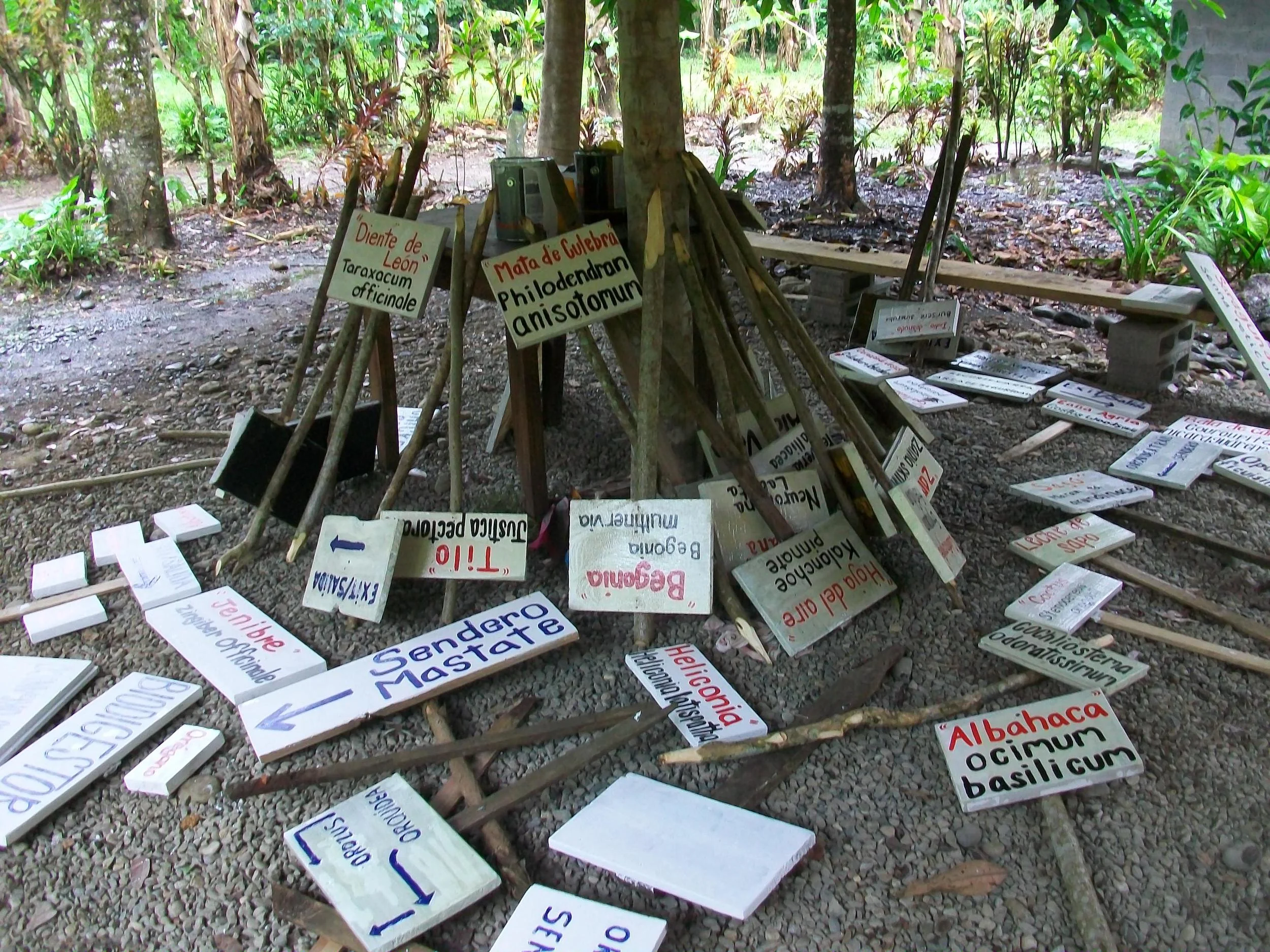 Costa Rica 2011 262.JPG
