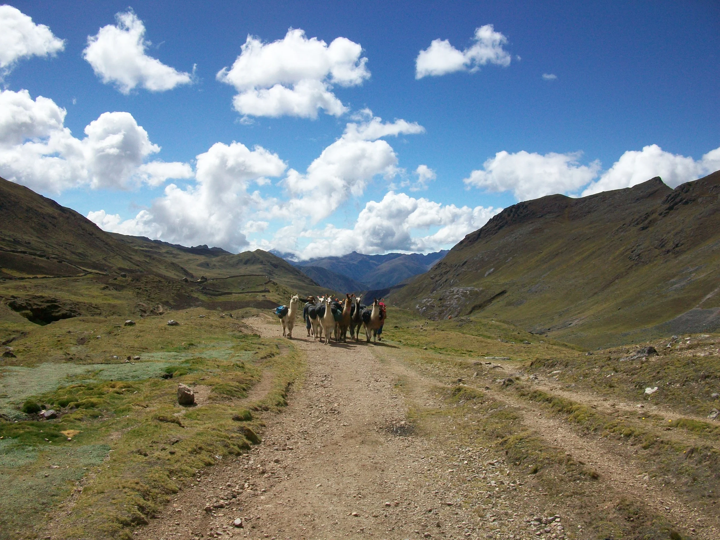 June 2010 160.JPG