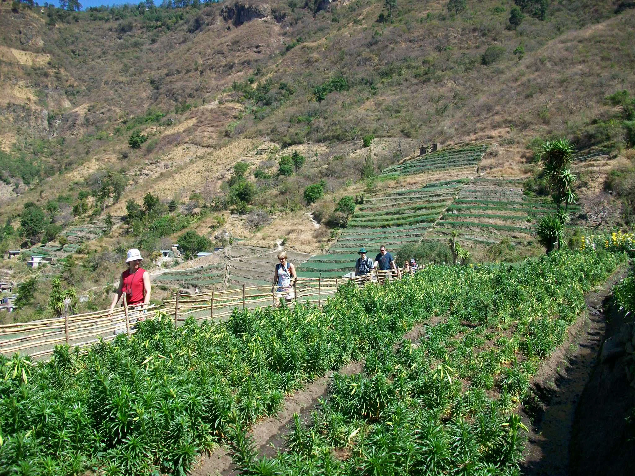 Guatemala Feb 2009 238.JPG