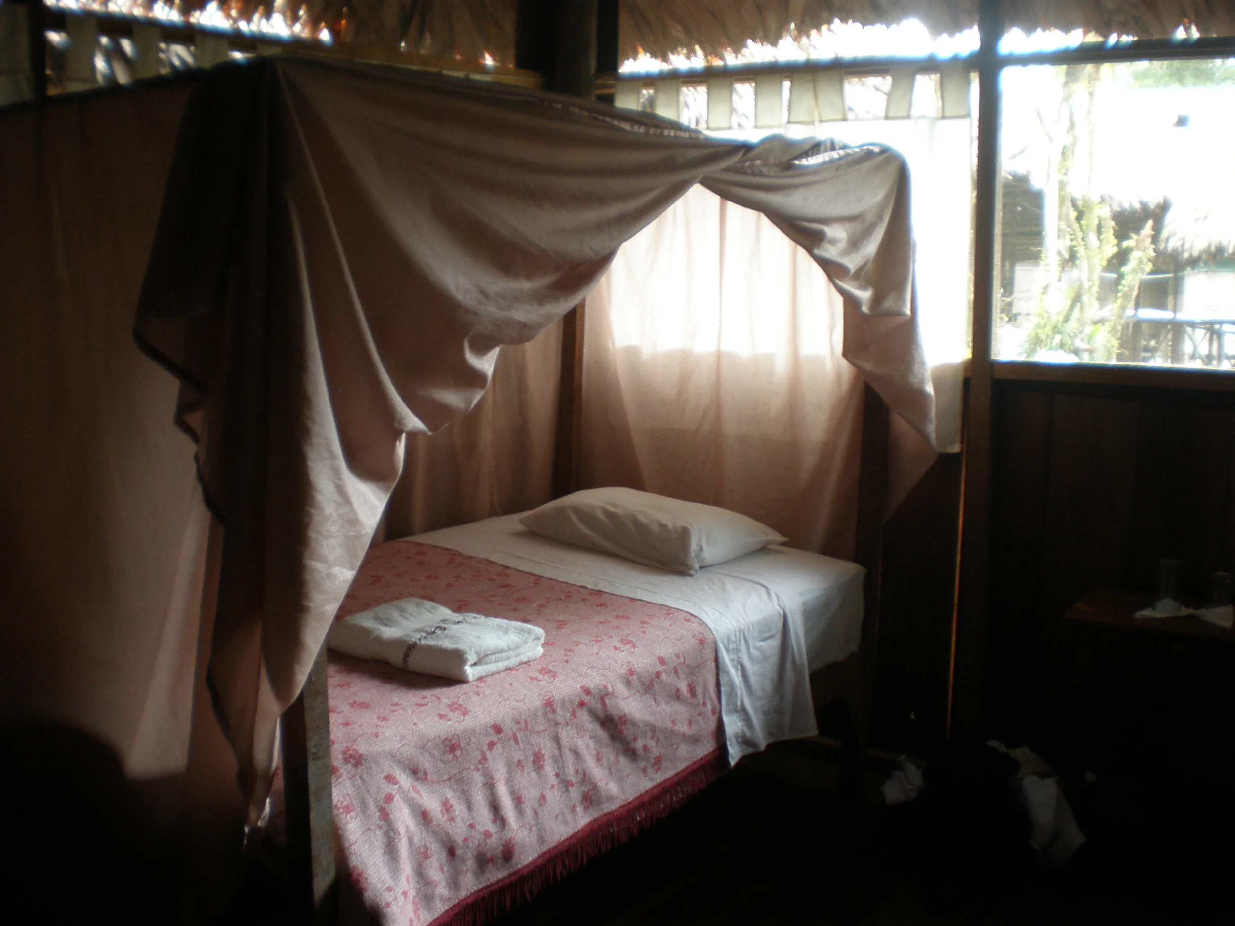 P6124634.JPG