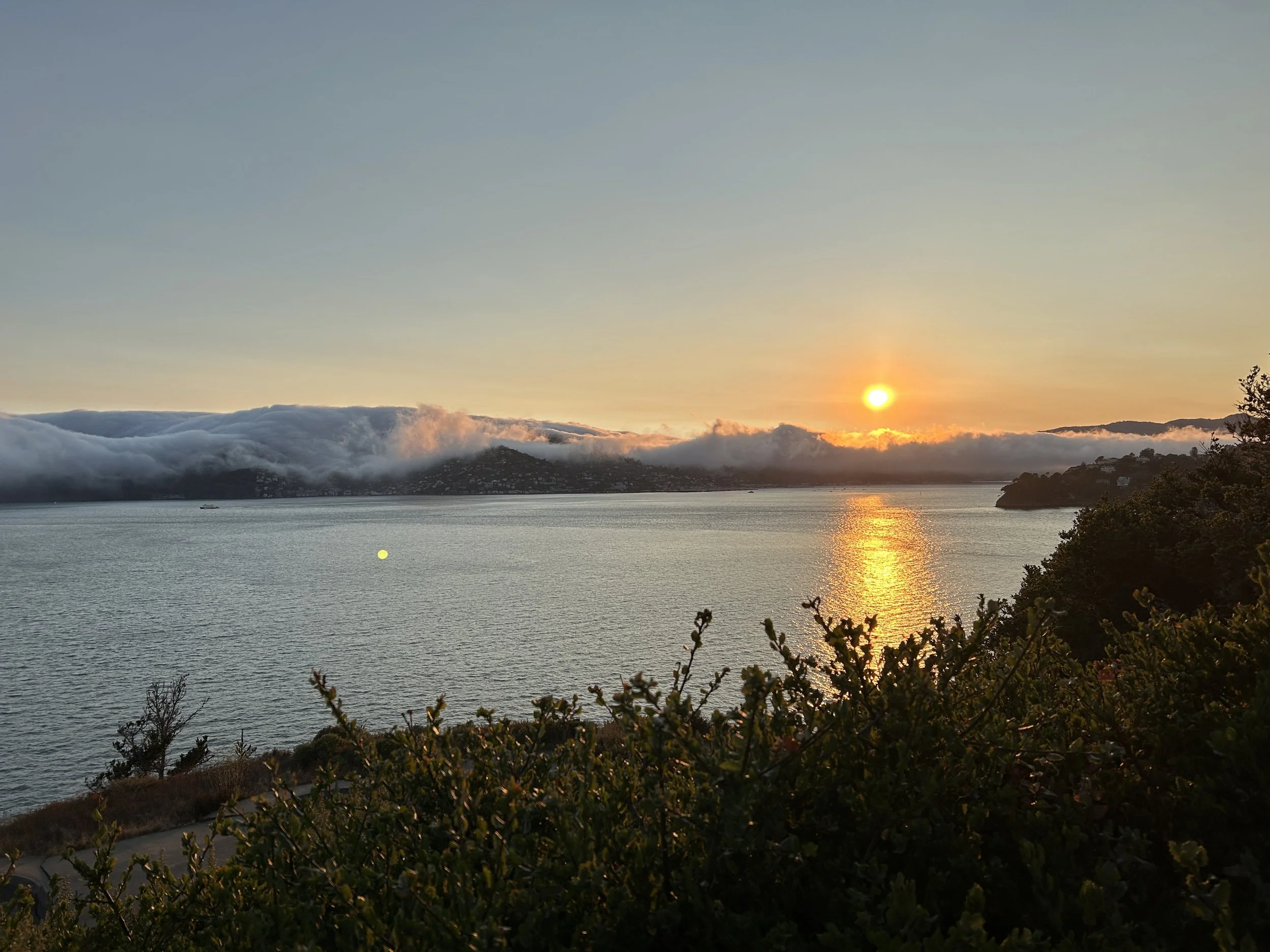IMG_5296 2.JPEG