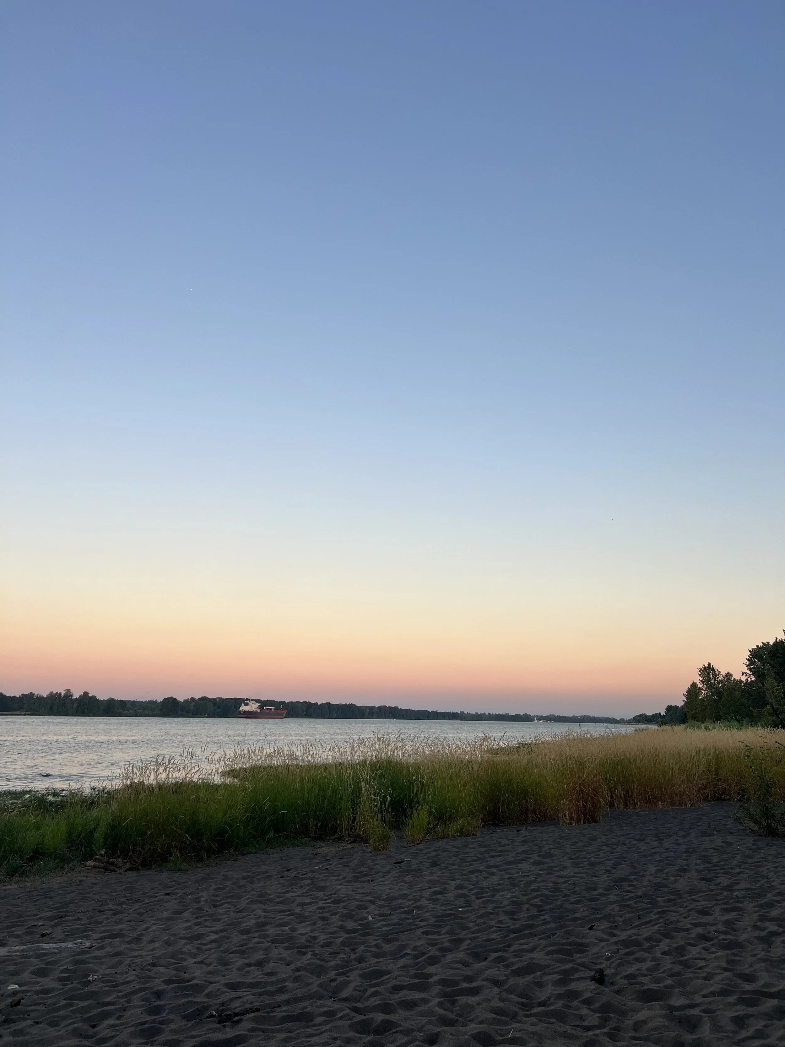 IMG_2838.jpeg