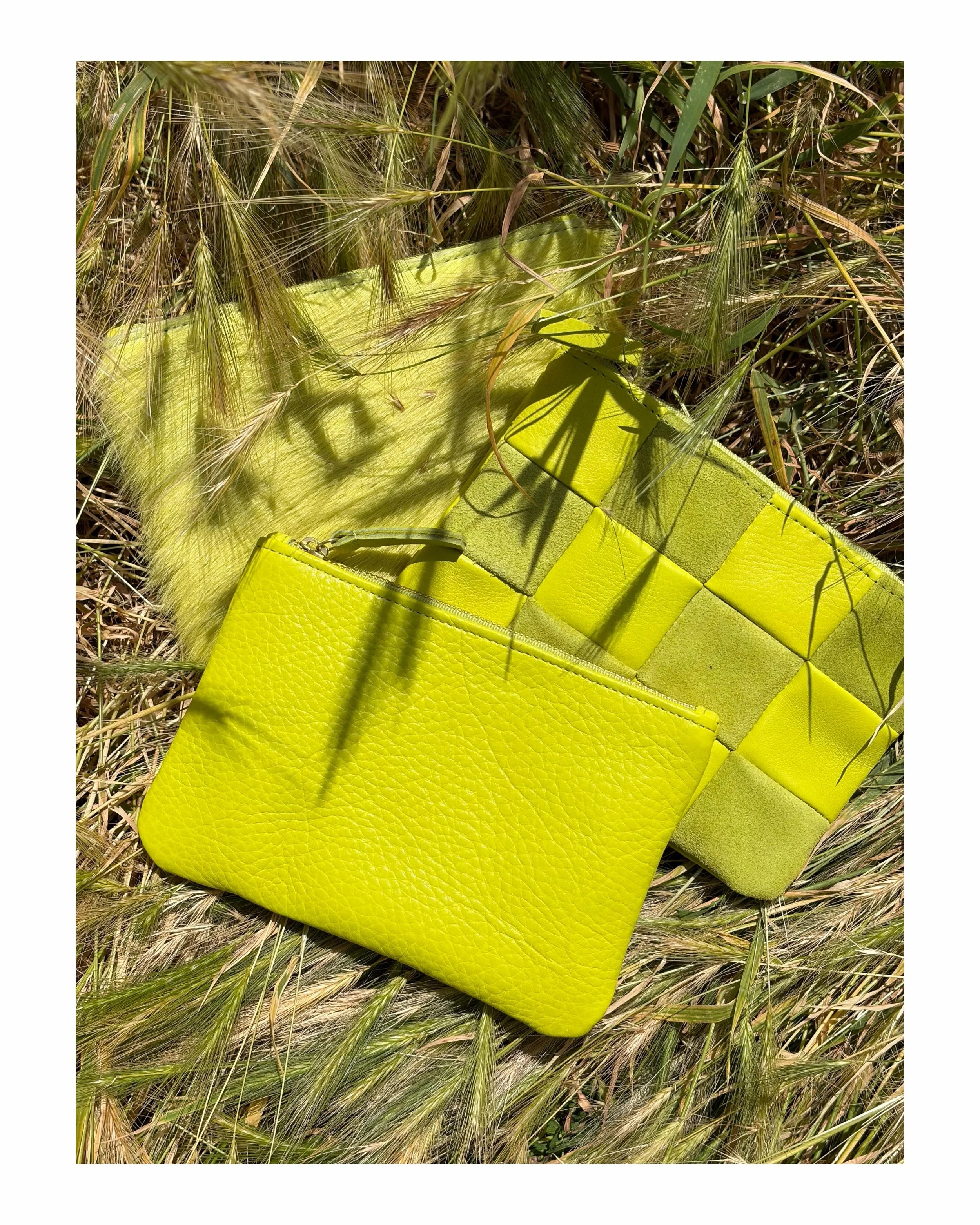 Chartreuse in the golden grass 🌾