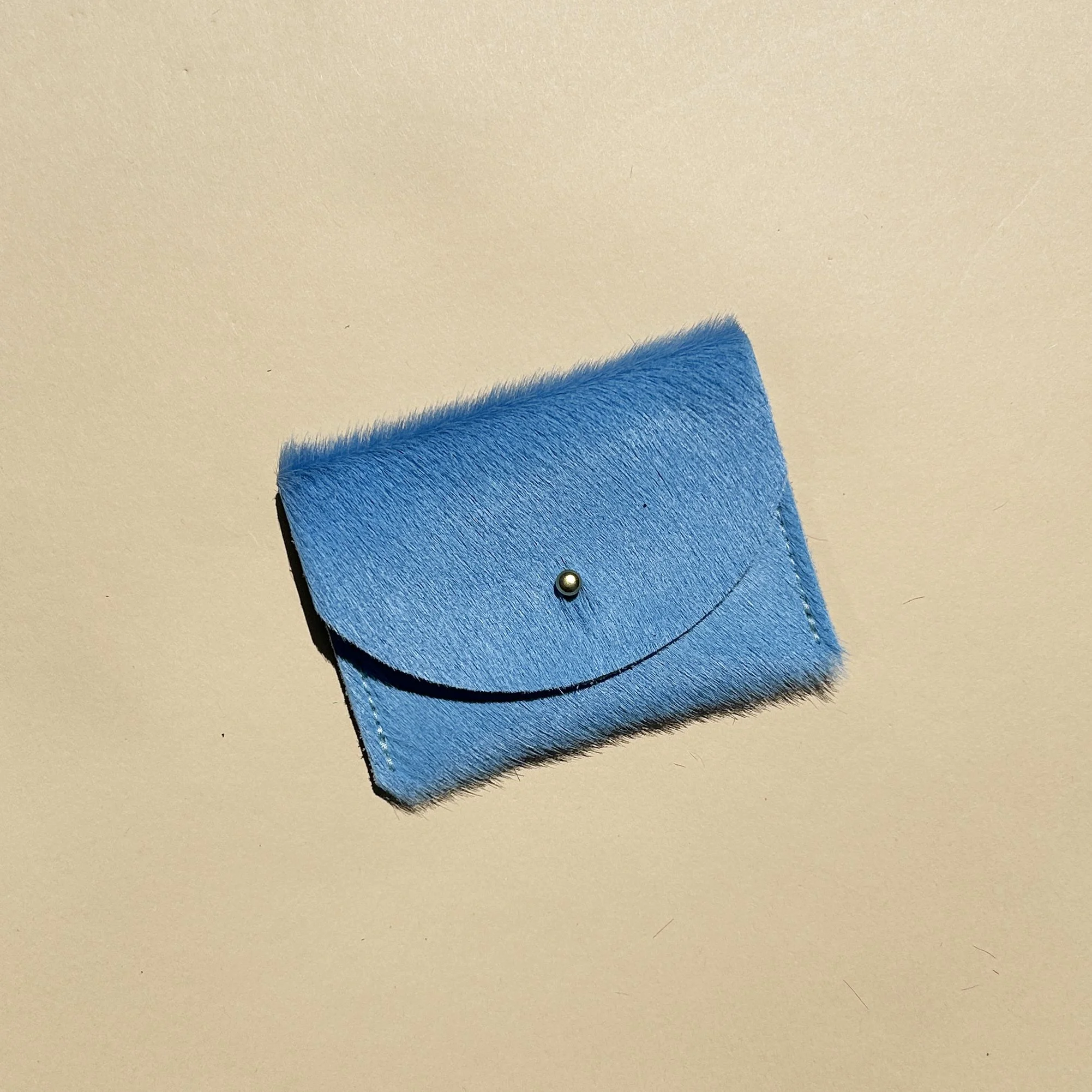 robin-cardholder copy.jpg