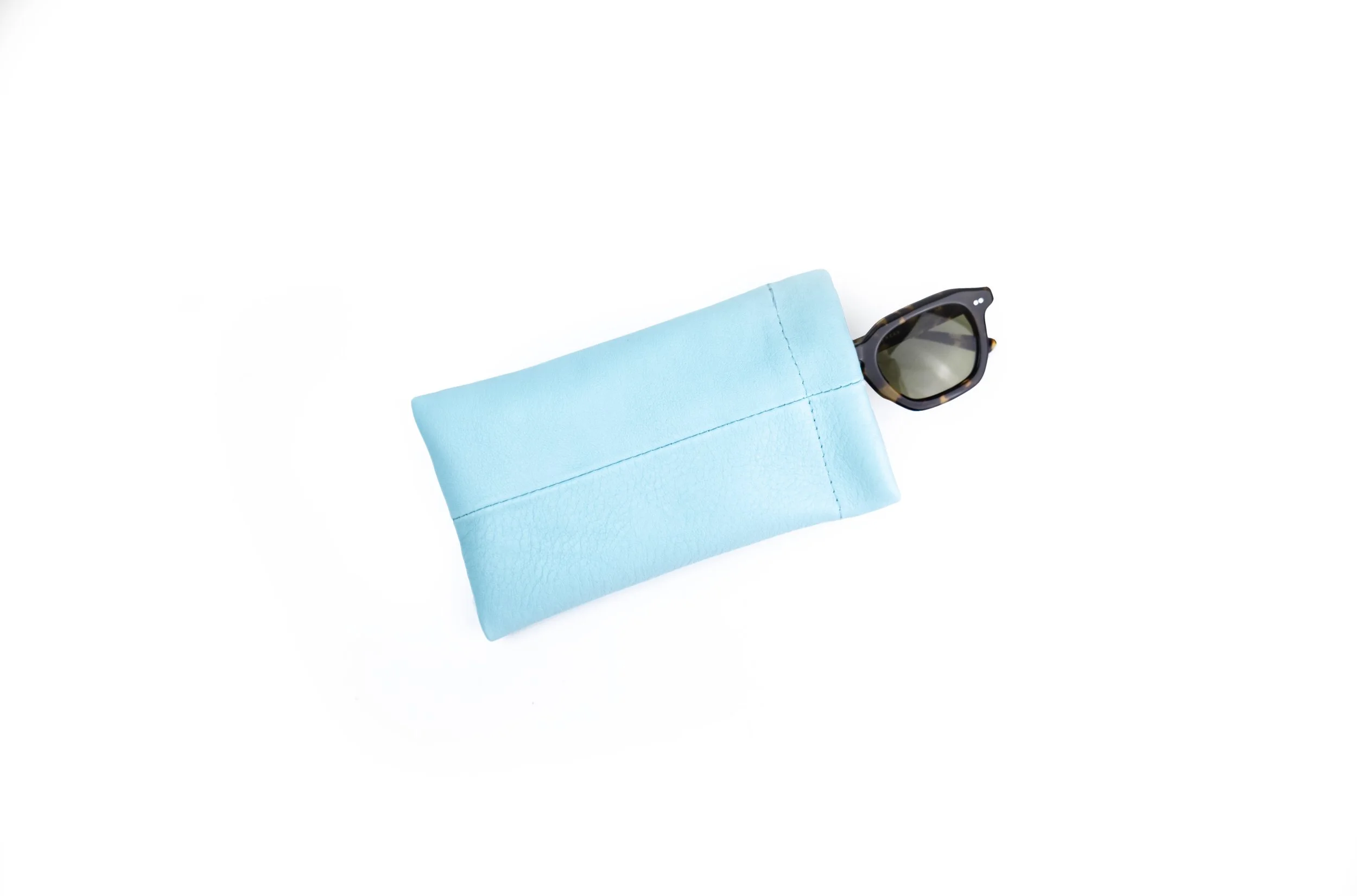 robin-sunglass-case copy.jpg