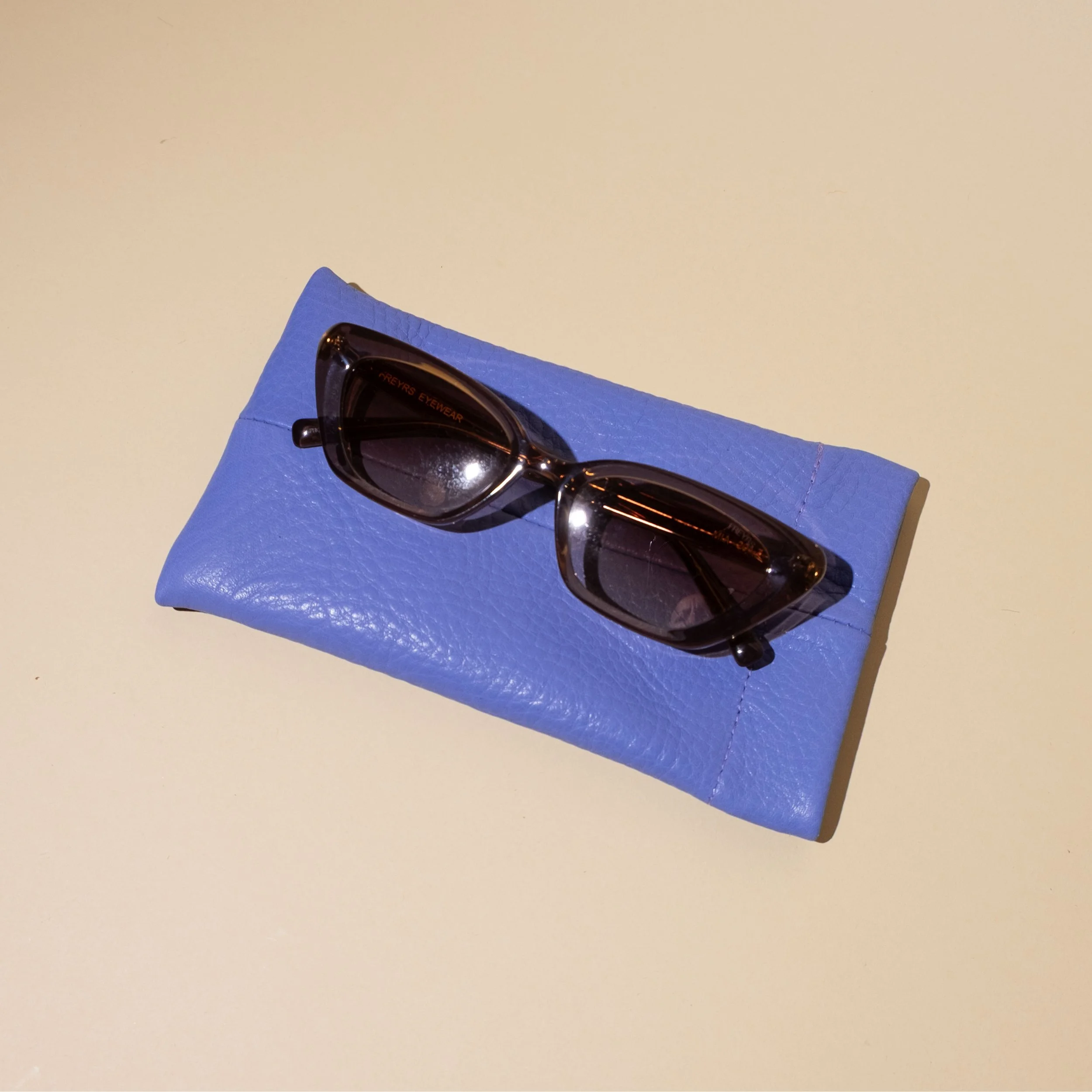 periwinkle-leather-sunglass-case.jpg