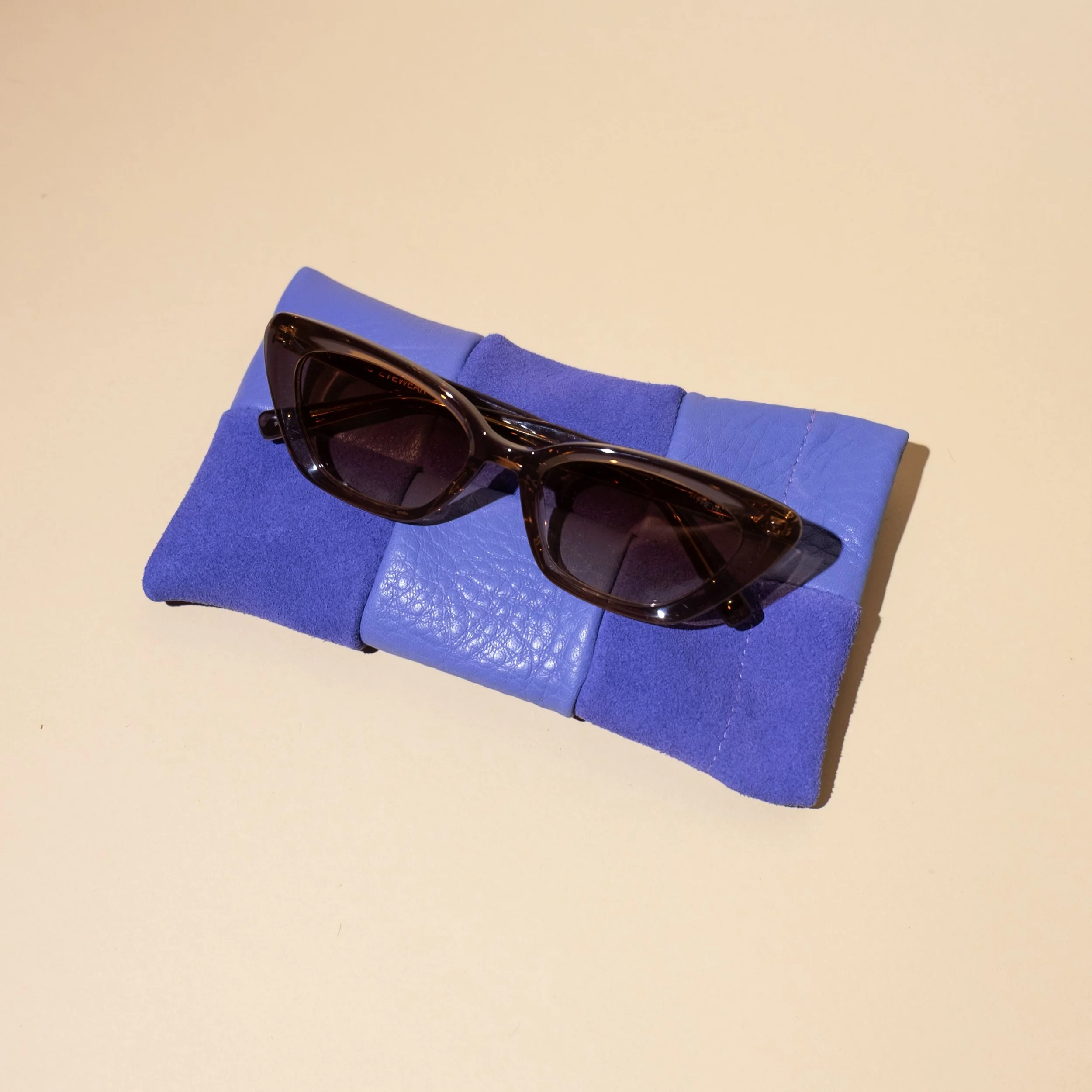 periwinkle-check-leather-sunglass-case-2.jpg