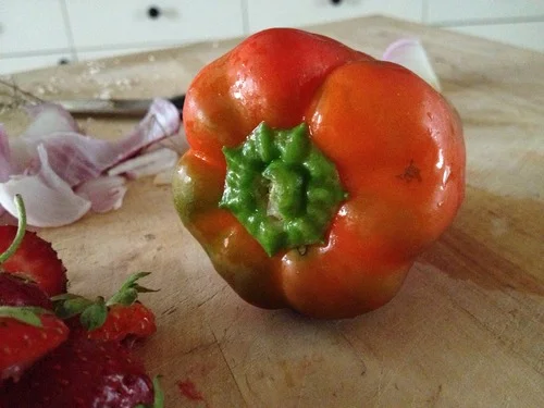 Extraneous vegetable like this here pepper. But chopped real small. Personally, I find it important to keep all ingredients around the same size. The nuts are small, the strawberries are cut, the cheese is grated, the onions are thinly sliced. Keep with the pattern.