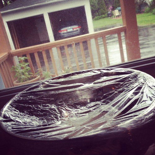  Folded side down, return it to the bowl, and plastic wrap it for a 3rd time. Set aside for 45 minutes.&nbsp; &nbsp;   Sit by the window and watch the rain. 