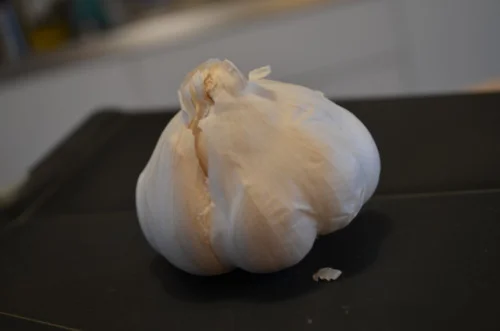 Meet your garlic.