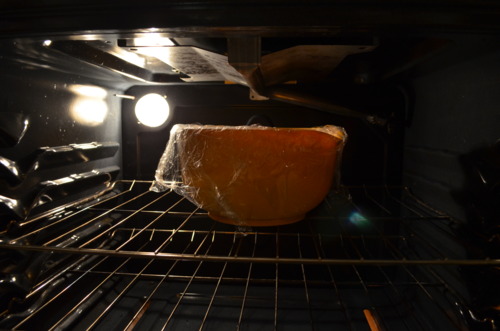  Then leave it in a warm place (the oven seemed like a good choice; we left the door ajar) and let sit for an hour, or until the dough has doubled in size. 