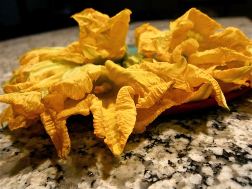On to side #2: squash blossoms from the Union Square Farmers' Market.