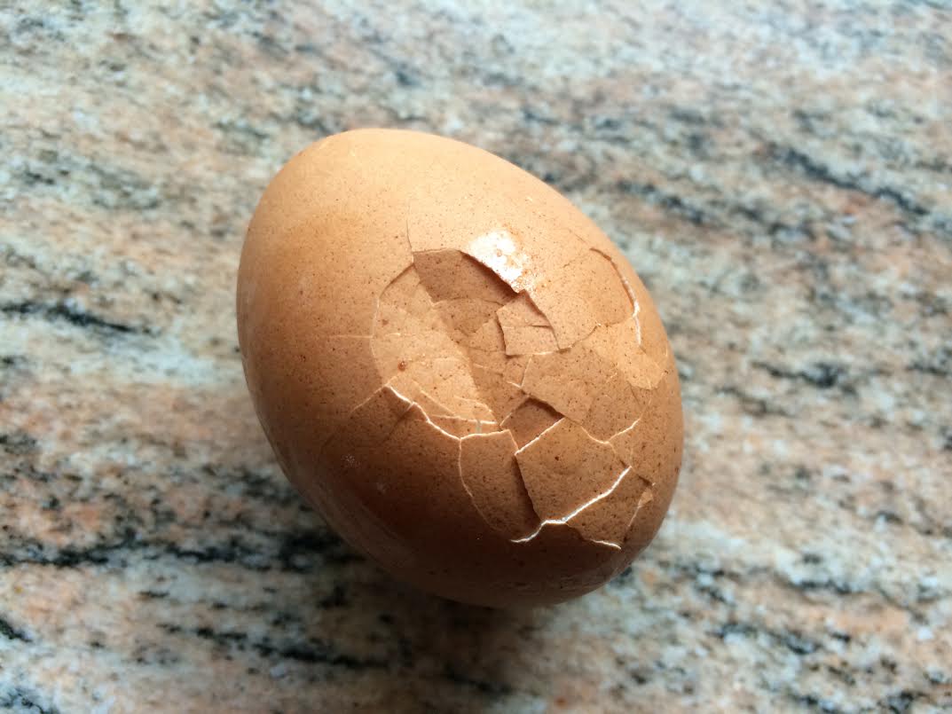 one egg.jpg