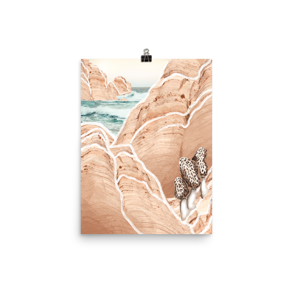premium-luster-photo-paper-poster-(in)-12x16-transparent-6390f16f9c355.png
