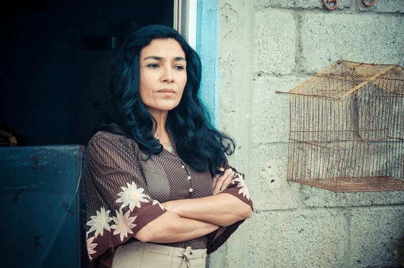 TELEMUNDO ANUNCIA EXITOSA SEGUNDA SEMANA DE RODAJE DE LA SERIE BIO-MUSICAL "HASTA QUE TE CONOCI" 