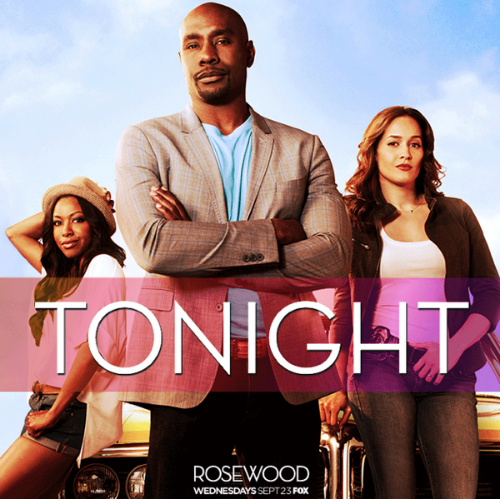 ROSEWOOD  Wednesdays @ 8/7C on FOX