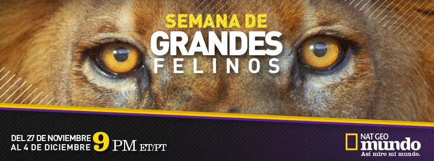 Nat Geo Mundo Estrena Especial "SEMANA DE GRANDES FELINOS"