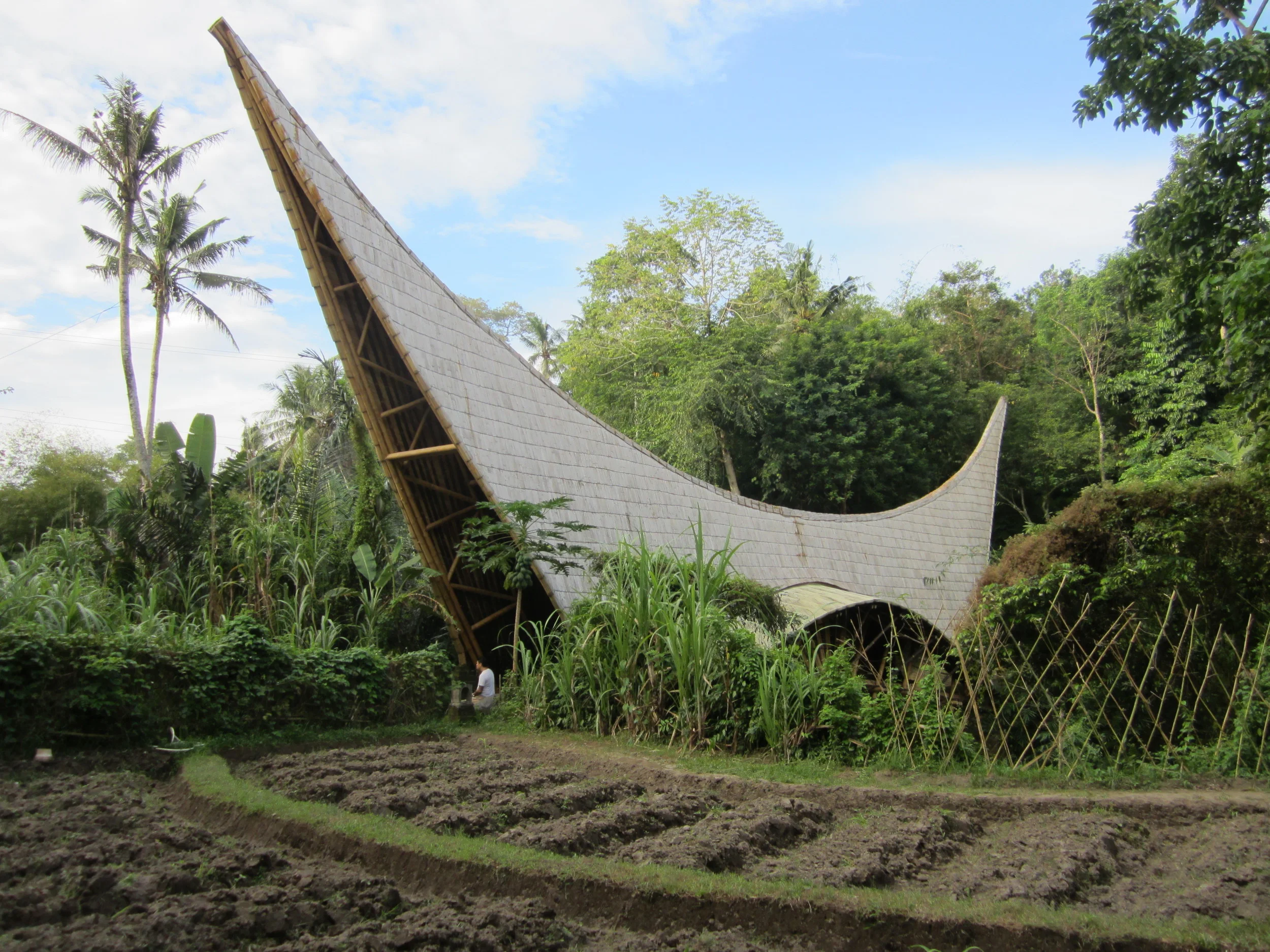 Ecole_vue de l'exterieur_Verte.JPG