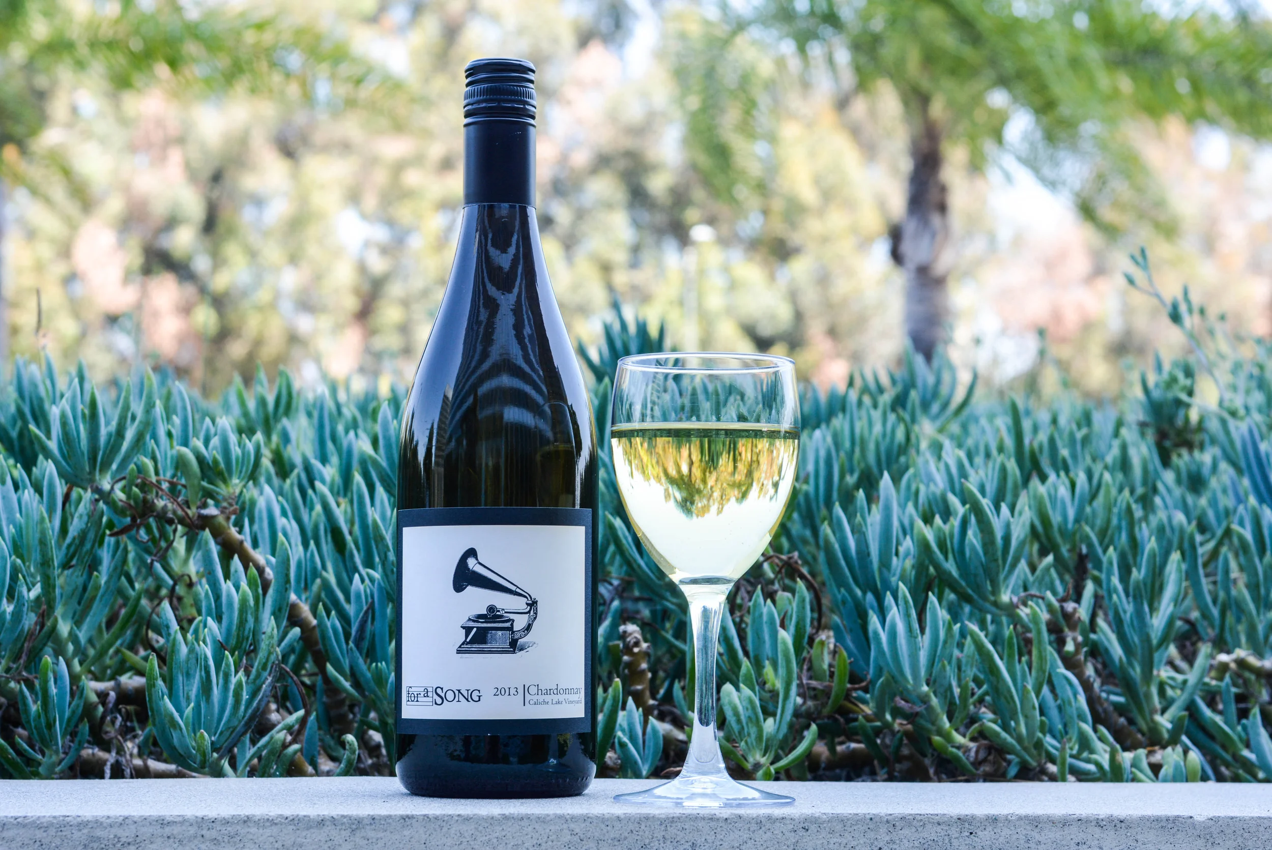 Vinos de Verano para Comer y Entretener