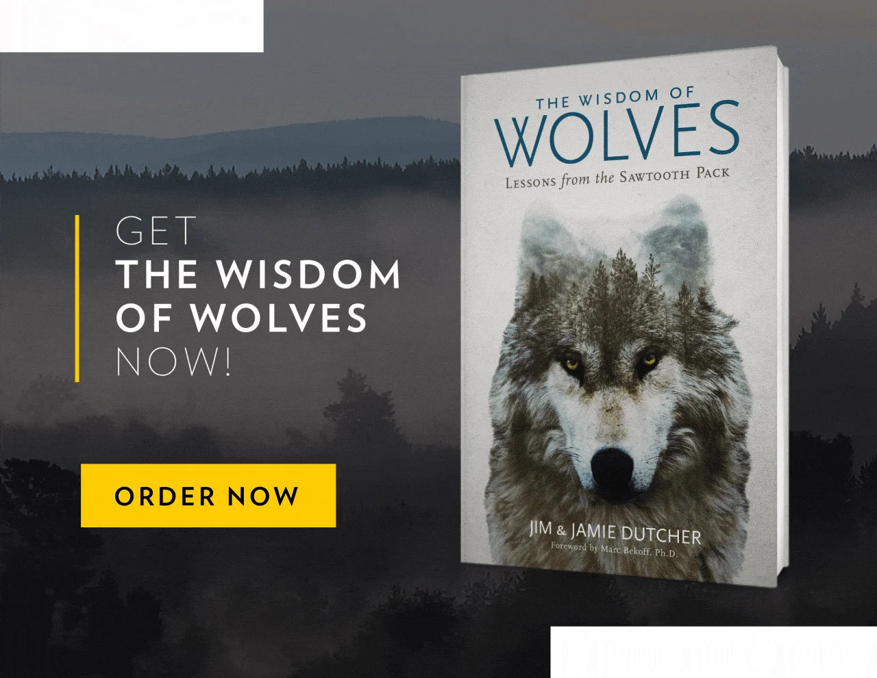 Durante más de 20 años, Jim y Jamie Dutcher han estado estudiando el comportamiento del lobo y relatando su gentileza, compañerismo, alegría, respeto, curiosidad y empatía. Sus historias más sinceras sobre la vida en una manada de lobos muestran cuánto tenemos que aprender de estos increíbles animales. Estos dedicados documentalistas se ganaron la confianza de un grupo de lobos, una experiencia sin precedentes que resultó en libros de gran éxito de ventas y películas ganadoras de premios Emmy. Ahora los Dutchers están arrojando luz sobre las virtudes demasiado humanas que observaron en la sociedad de lobos salvajes.