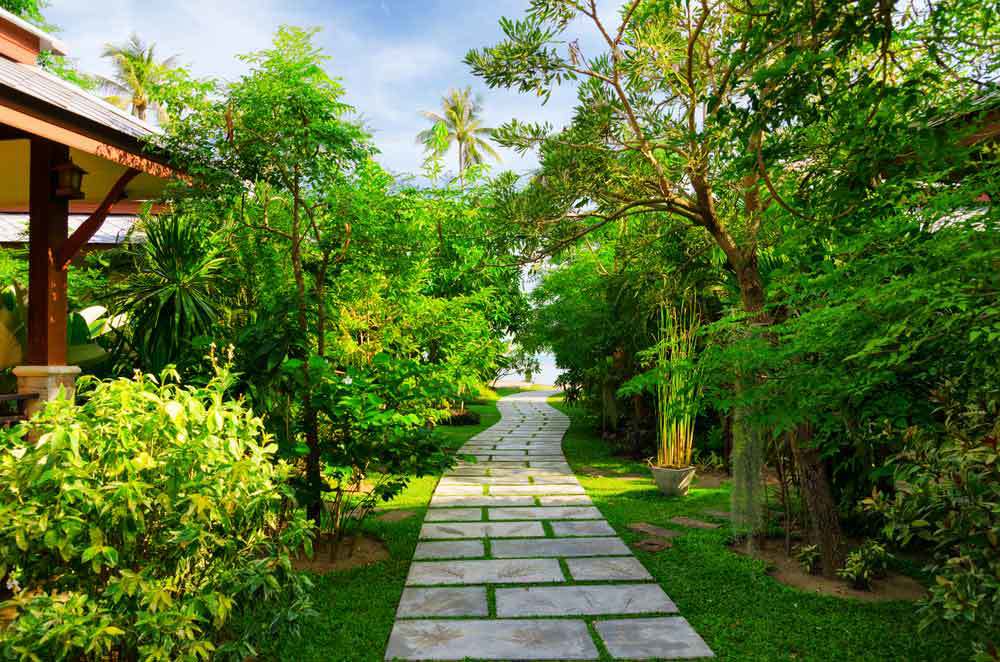 Tropical-Landscape-Design.jpg