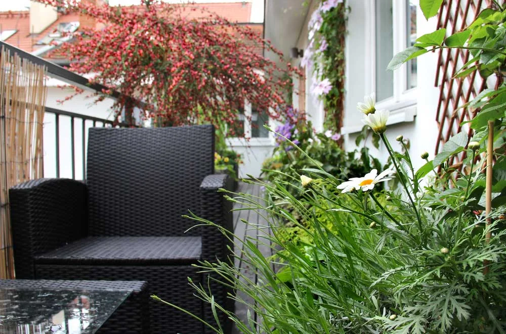 Outdoor-Living.jpg
