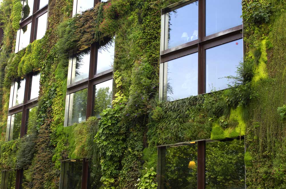 RUBI-Landscape-Design-Vertical-Green-Wall.jpg