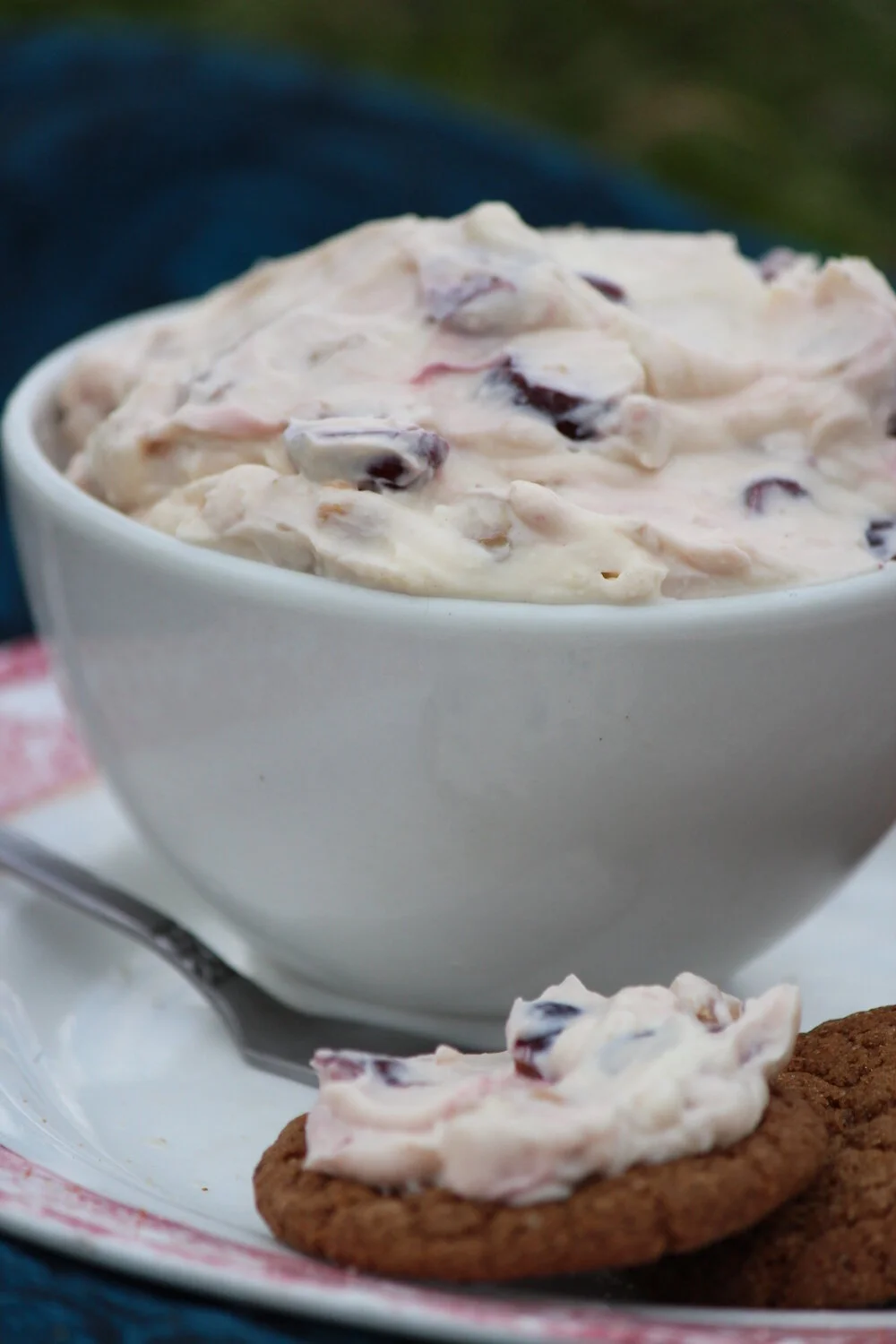 image-asset (2).jpeg