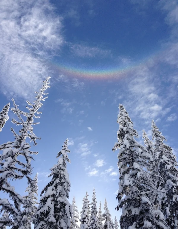 rainbowsnow.jpg