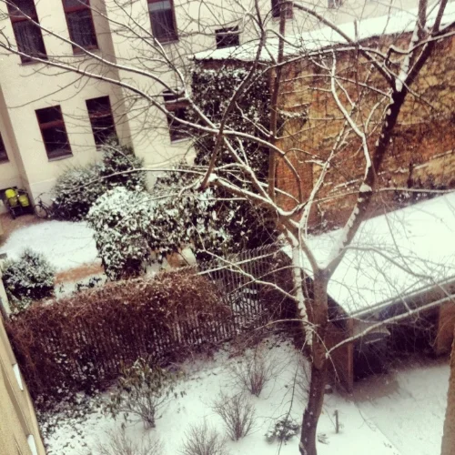 winter_stephanielevy.jpg