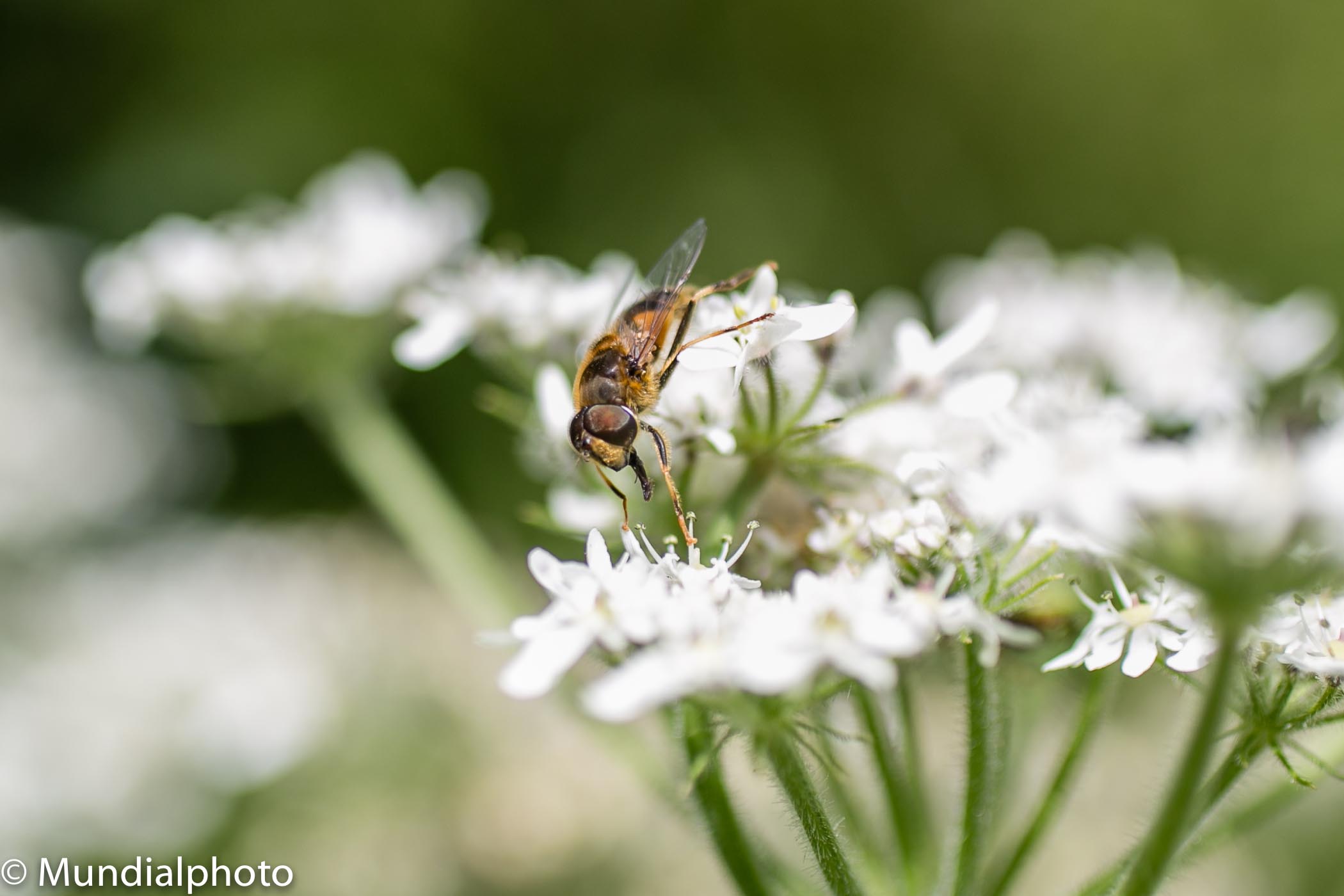 Delicately poised