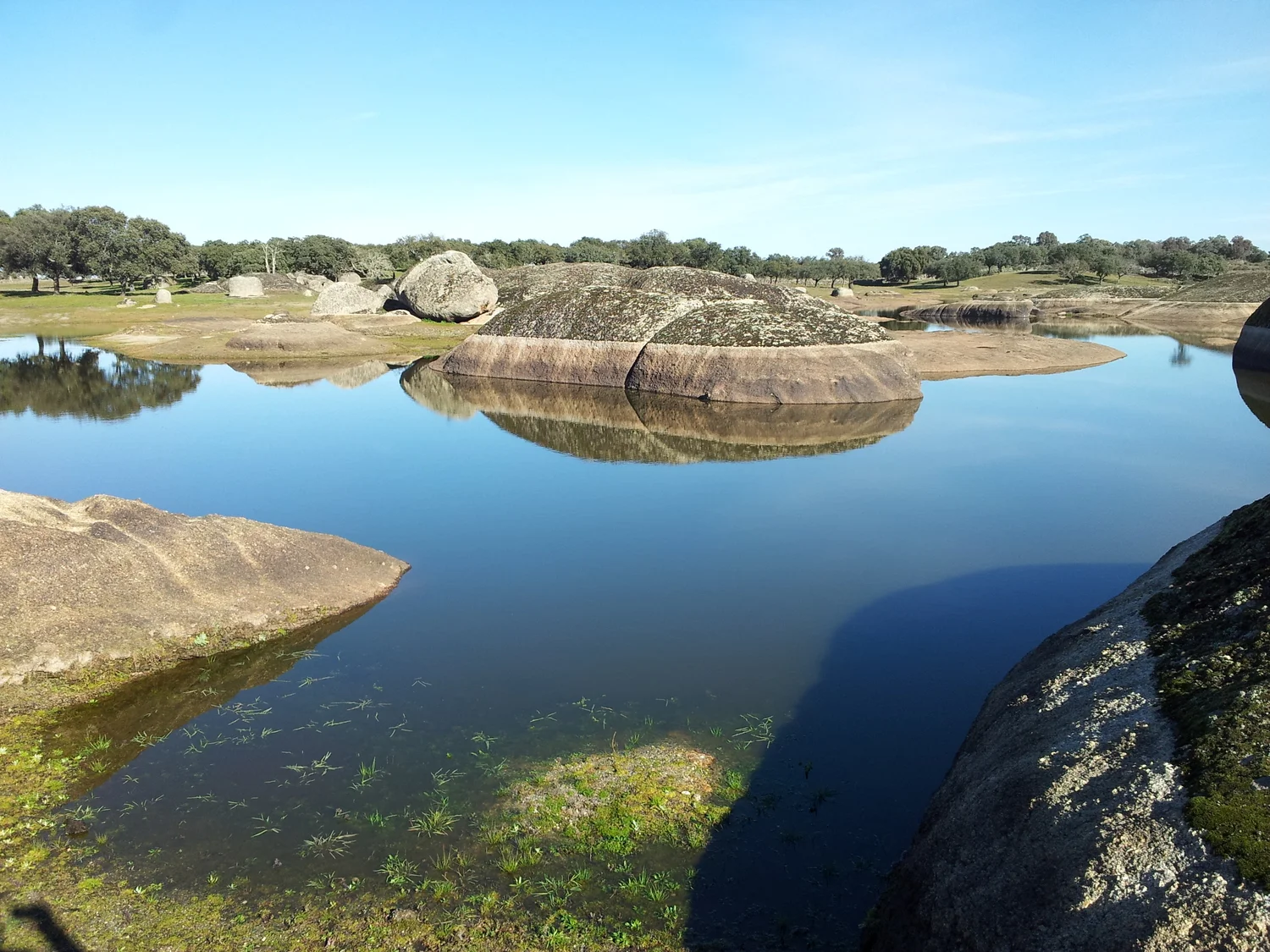 2013-12-29 13.49.26.jpg