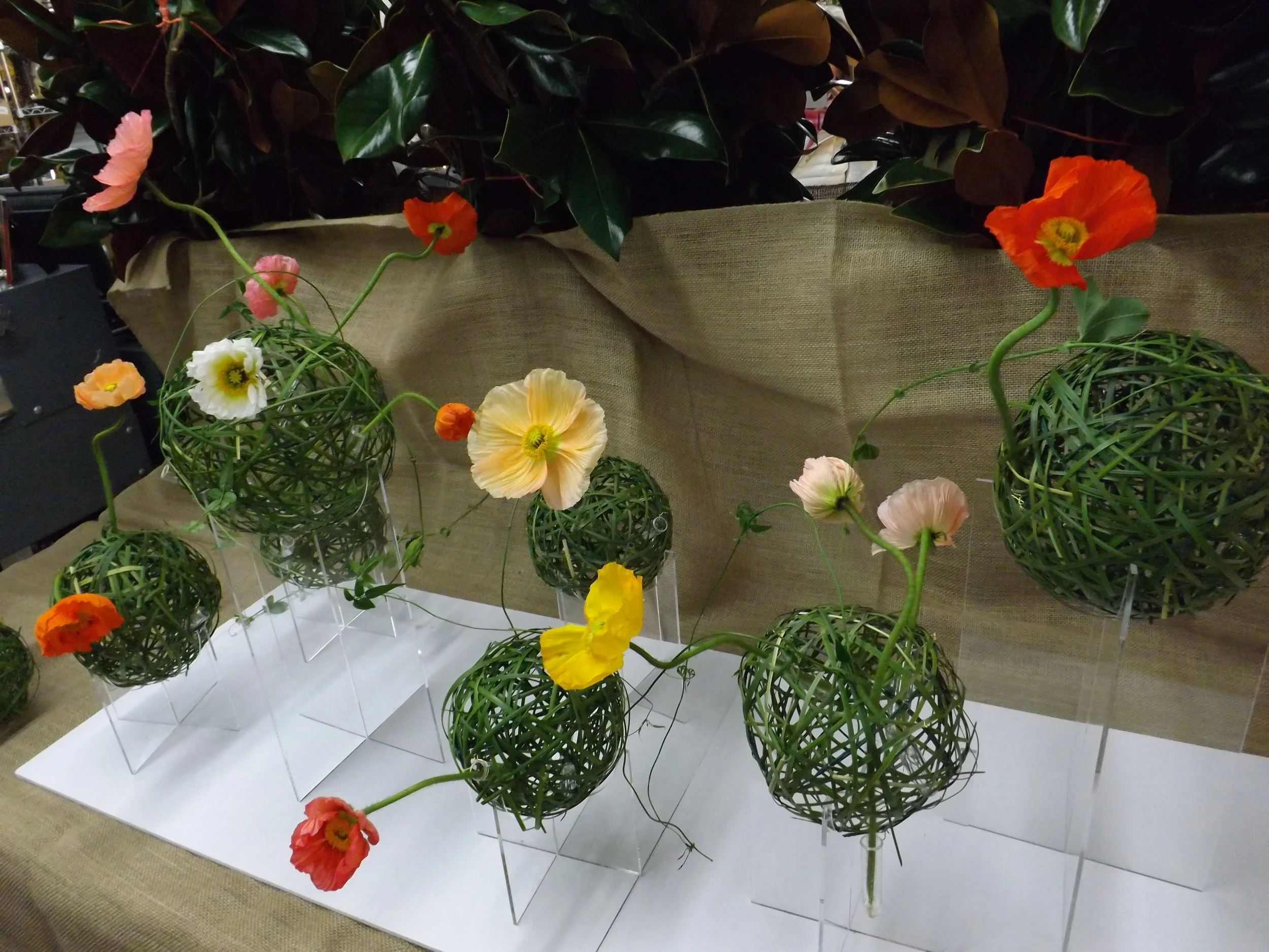 Woven grass balls with water tubes and poppies.