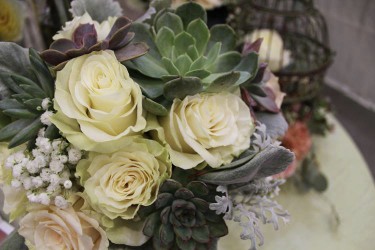 Succulents, Roses, Babies Breath, Dusty Miller